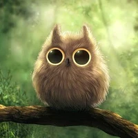 owl