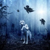 two headed wolf