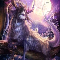 emperor pet / levi