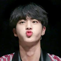 JEON SEOKJIN(EOMMA  JHOPE DAN JK)