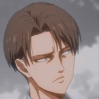 Levi