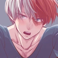 shoto todoroki