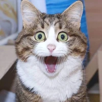 แอด