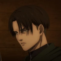 Levi