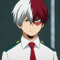 Shoto Todoroki