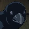 Iguro