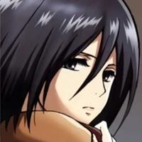 Mikasa