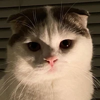 💙แอดมิน(ตัวขี้เกียจ)💙