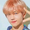 jisung alex  xander