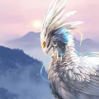 avaiku