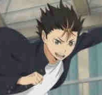 Noya