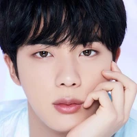 Kim seokjin (ml big bro)