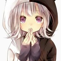 system operator