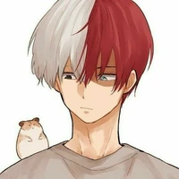Shoto  Todoroki