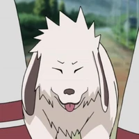 akamaru