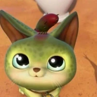 cattus