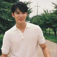 pak dino