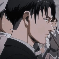Levi