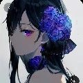 Rose William/ black rose ( fl )