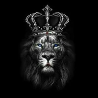 Black Lion King