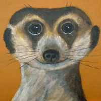 ผู้ได๋วะ??