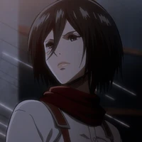 Mikasa