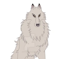 Kakashi animal