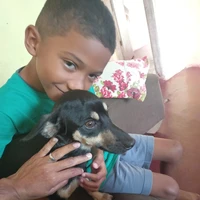 Bernardo