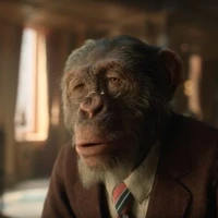 macaco