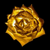 Noe(7 años)