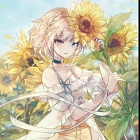 Celia (Ml
