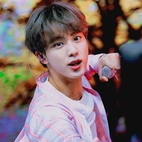 Seok Jin/ jinnie