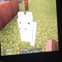 Random guy