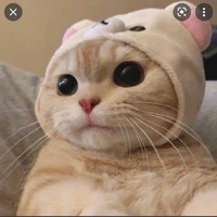แอดเอง