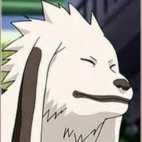 Akamaru