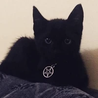 sasuke/neko