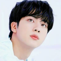 kim seokjin