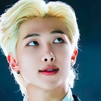 Kim namjoom (Rm)