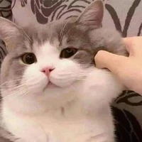 แอดเอง