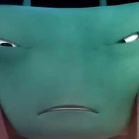 Adu du