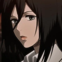 mikasa