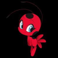 tikki