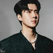 Putra Erlangga(Kepsek)