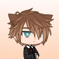 Mr. Aiden (James