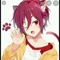 chocolate chi