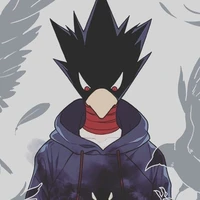 dark shadow bird🐦🐦