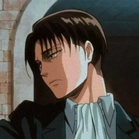 levi