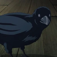 giyuu crow