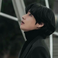 🐯V🐯