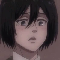 Mikasa